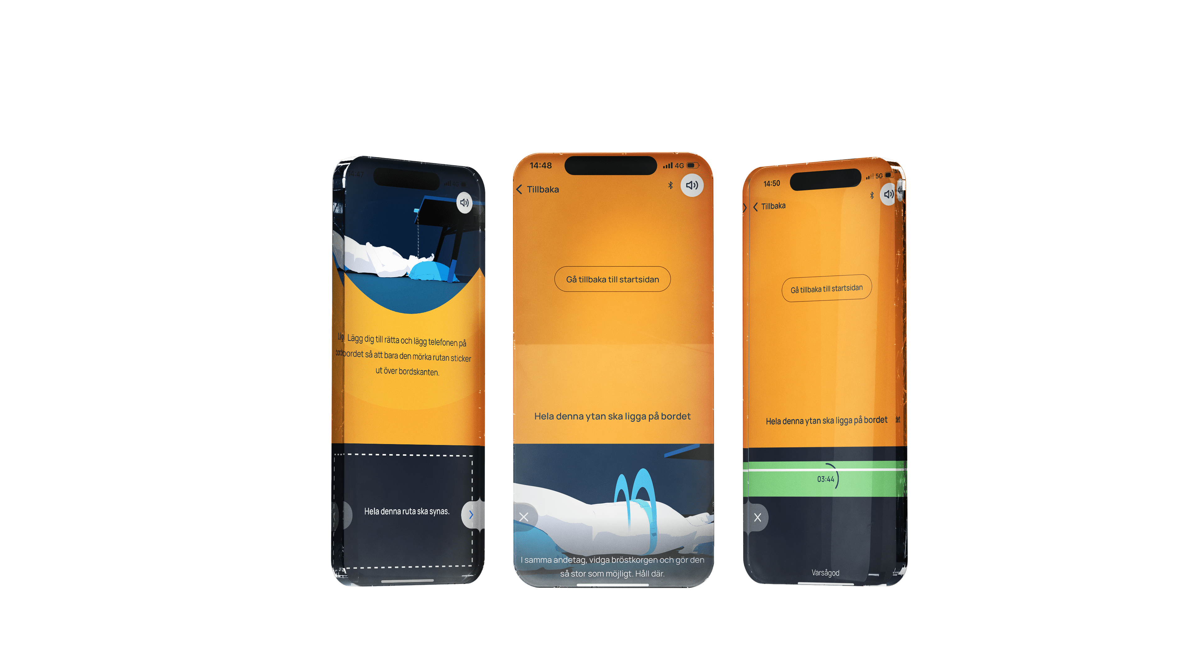 Smartphone-like prototypes showing Dibh's app in three different views.